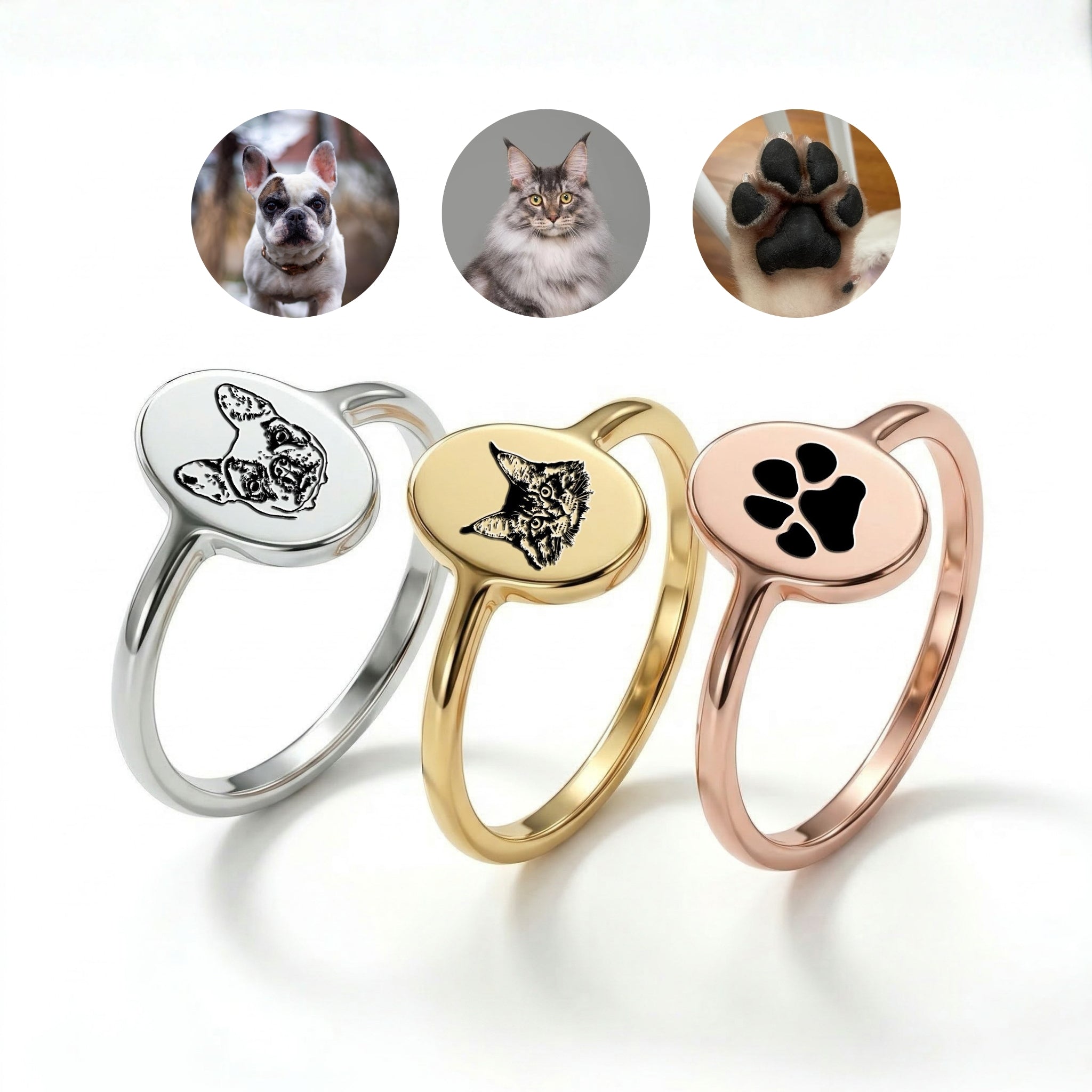 Three oval signet pet rings in silver, gold, and rose gold, two with engraved pet portraits and one with a paw print, with photo references shown above