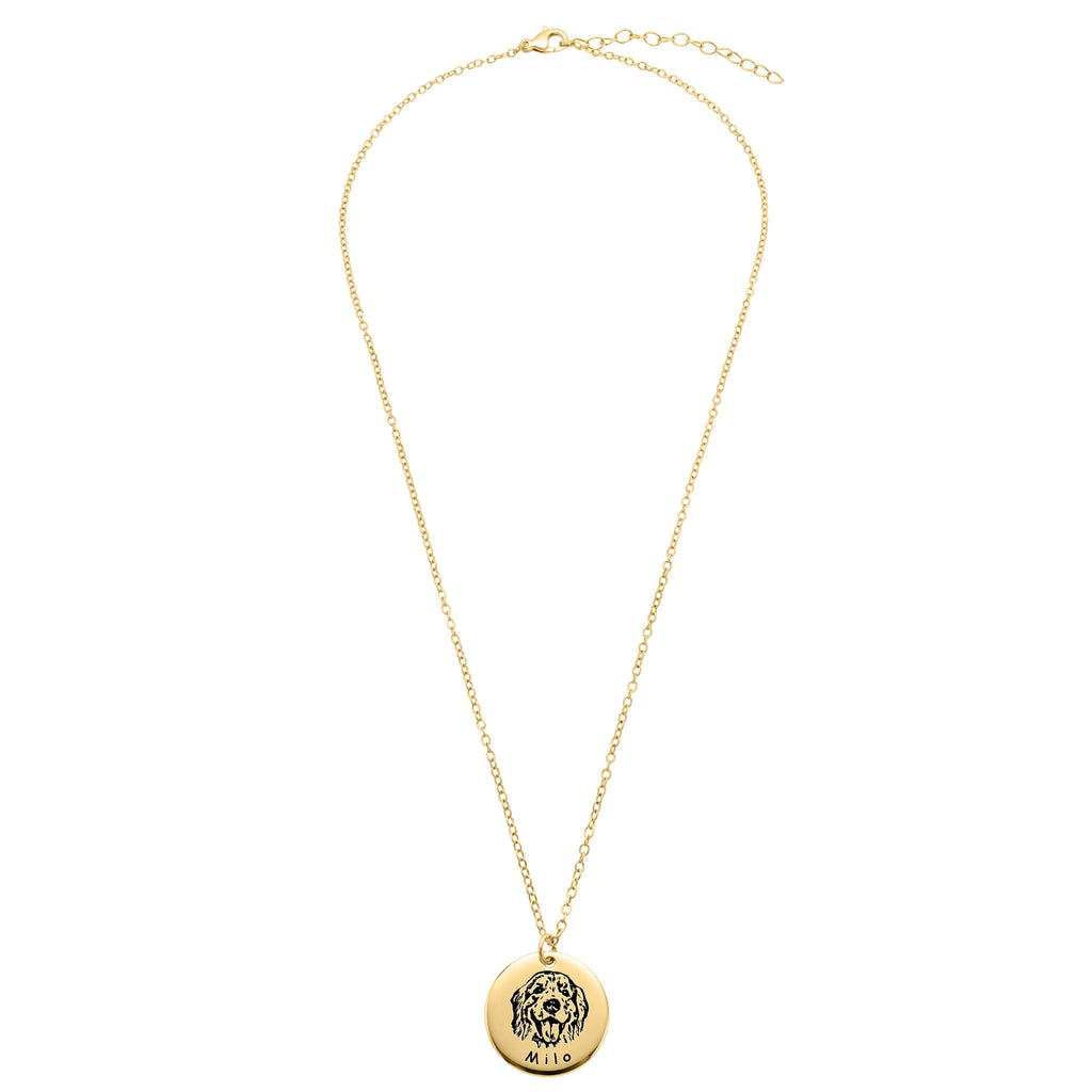 Full-length gold pet face disc pendant necklace with cable chain and clasp on white background