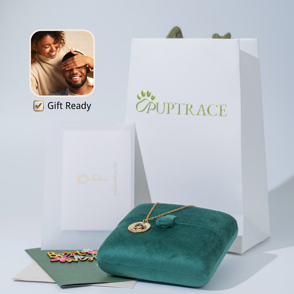 PupTrace gift set with gold pet face necklace in velvet box, branded bag, and greeting card
