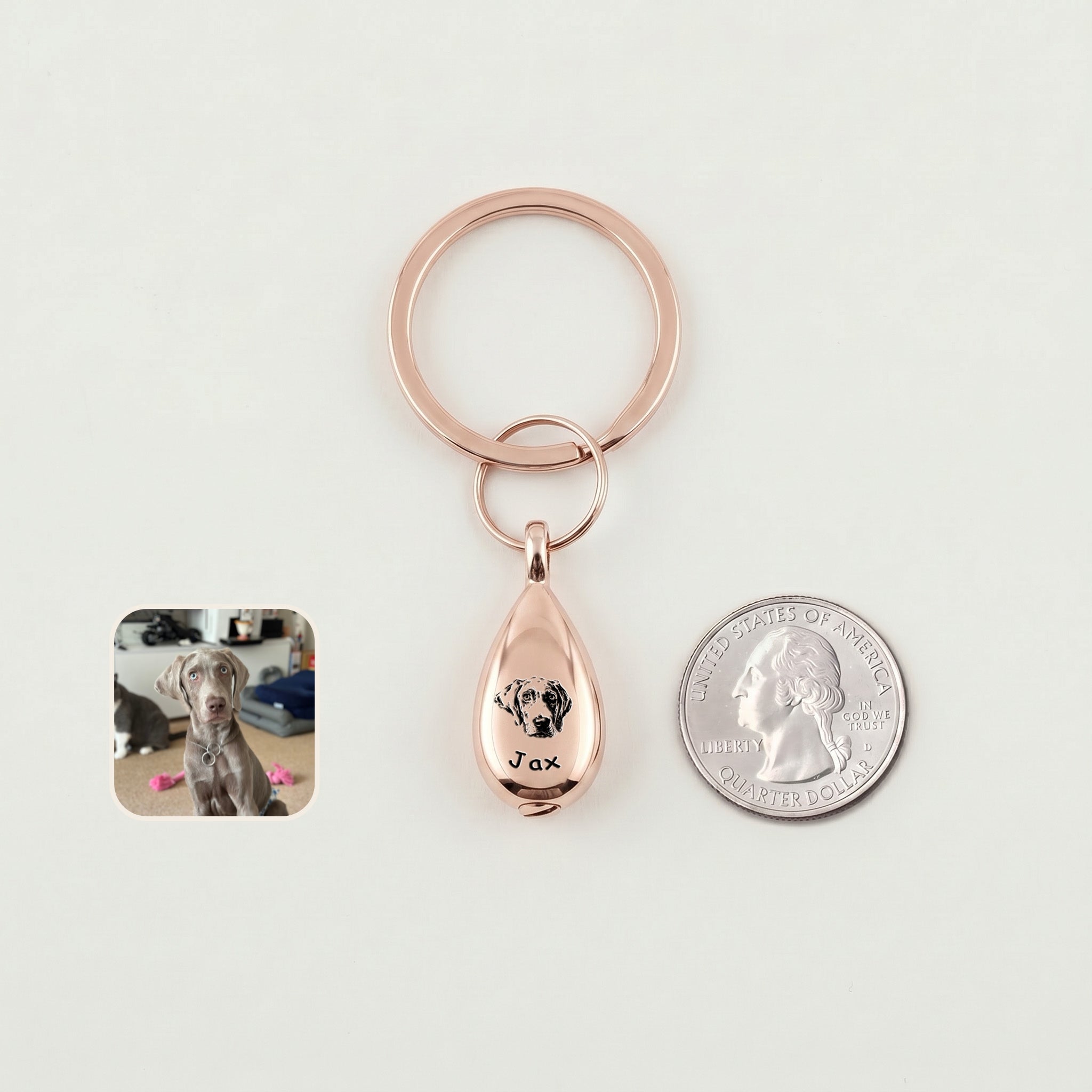 18k rose gold-plated pet portrait ashes teardrop keychain on a white field beside a US quarter for scale, with a dog reference photo inset