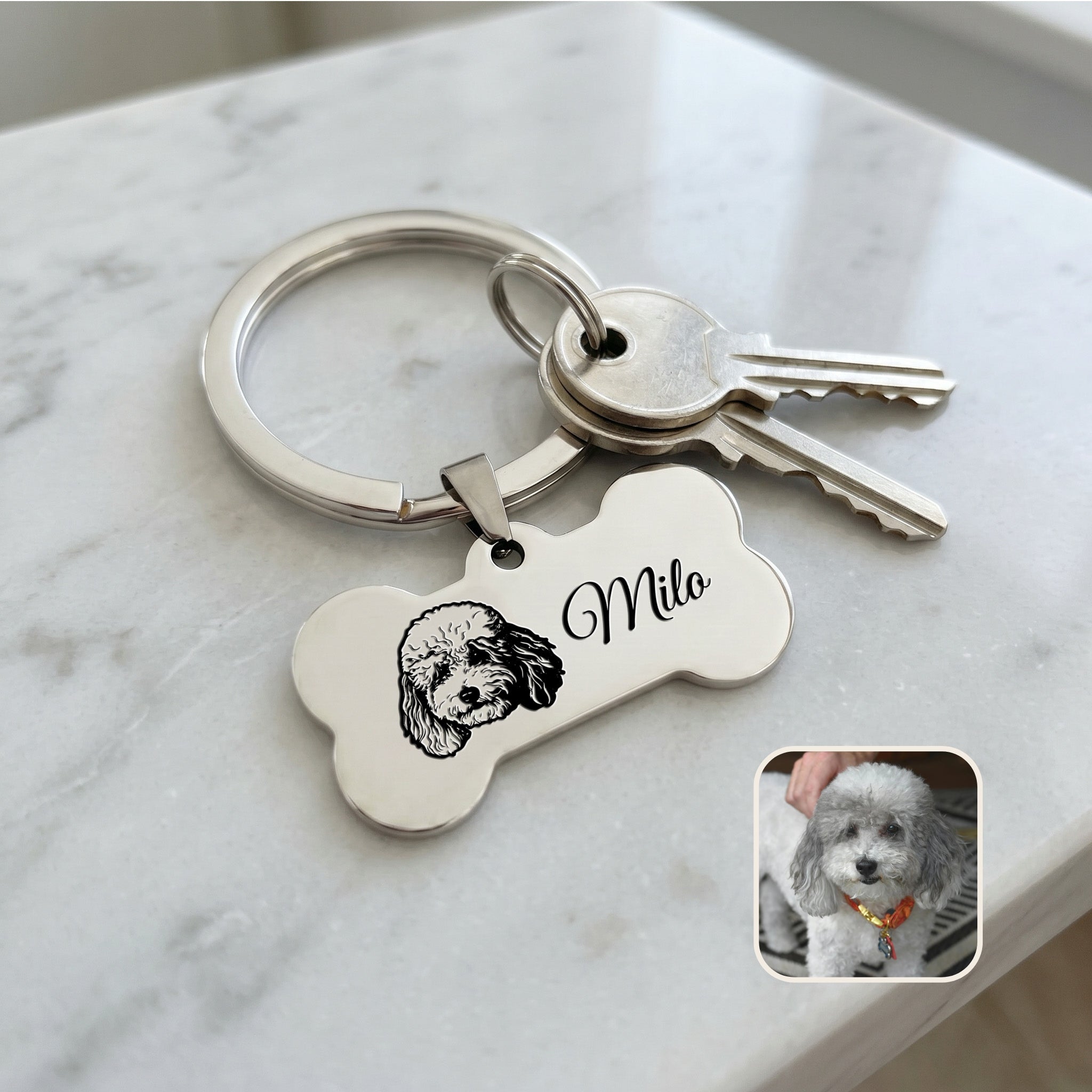 Rhodium pet bone keychain staged on a countertop with keys — everyday-carry pocket scene