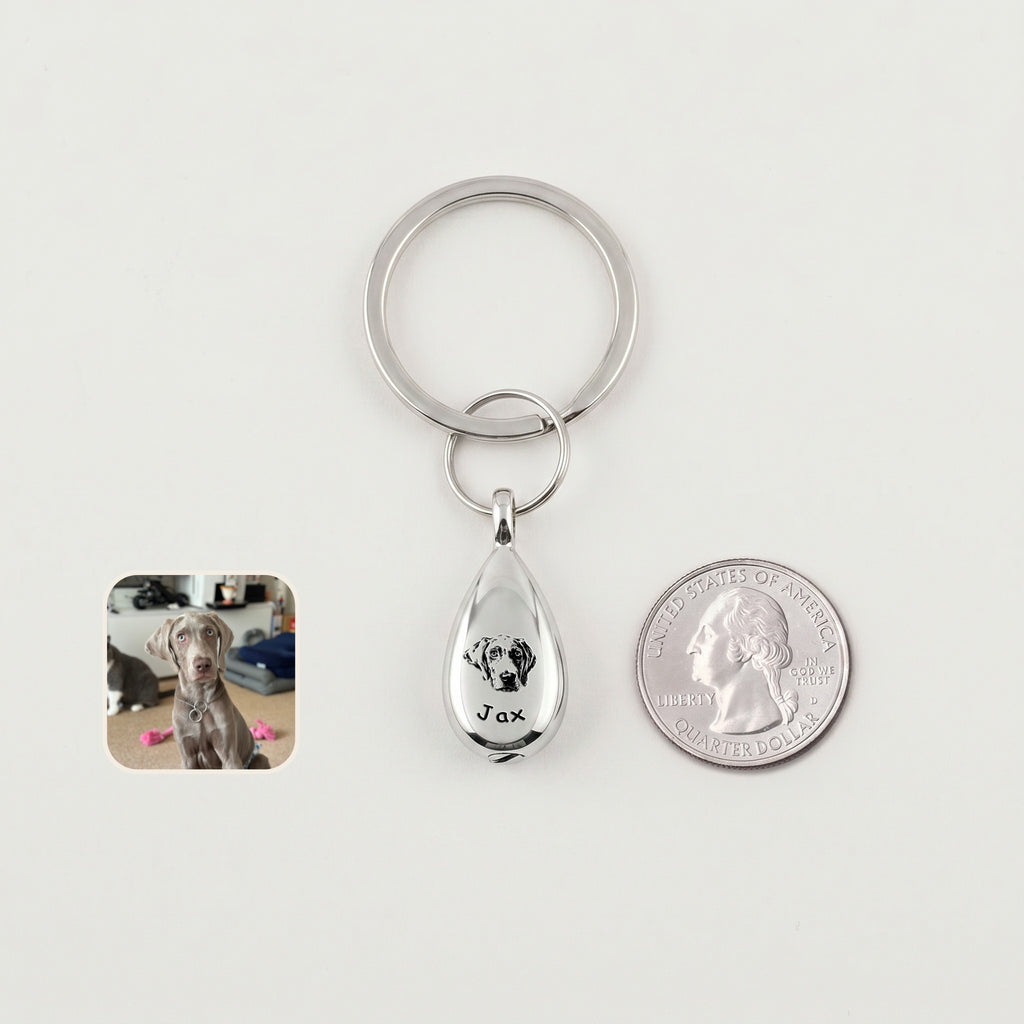 Rhodium-plated pet portrait ashes teardrop keychain on a white field beside a US quarter for scale, with a dog reference photo inset