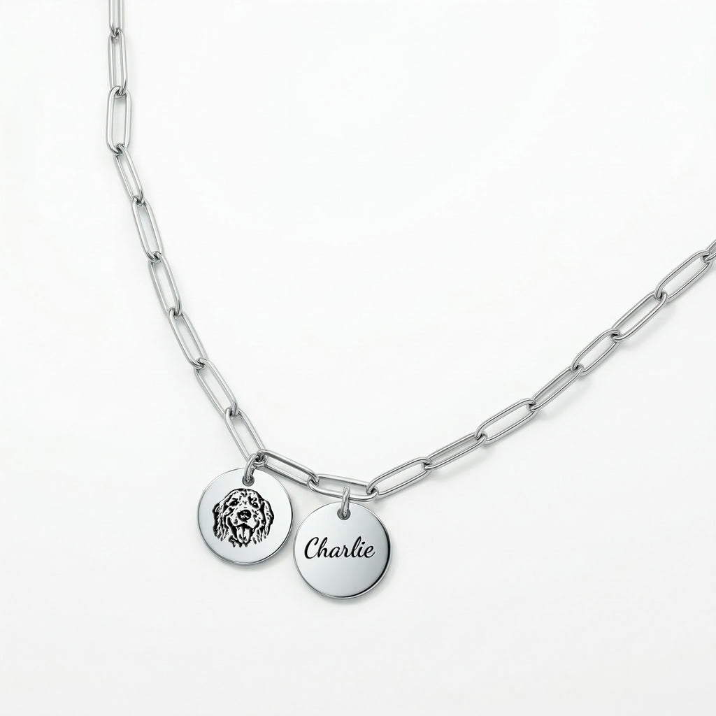 Silver paperclip chain necklace with dual disc pendants featuring pet portrait and name engraving