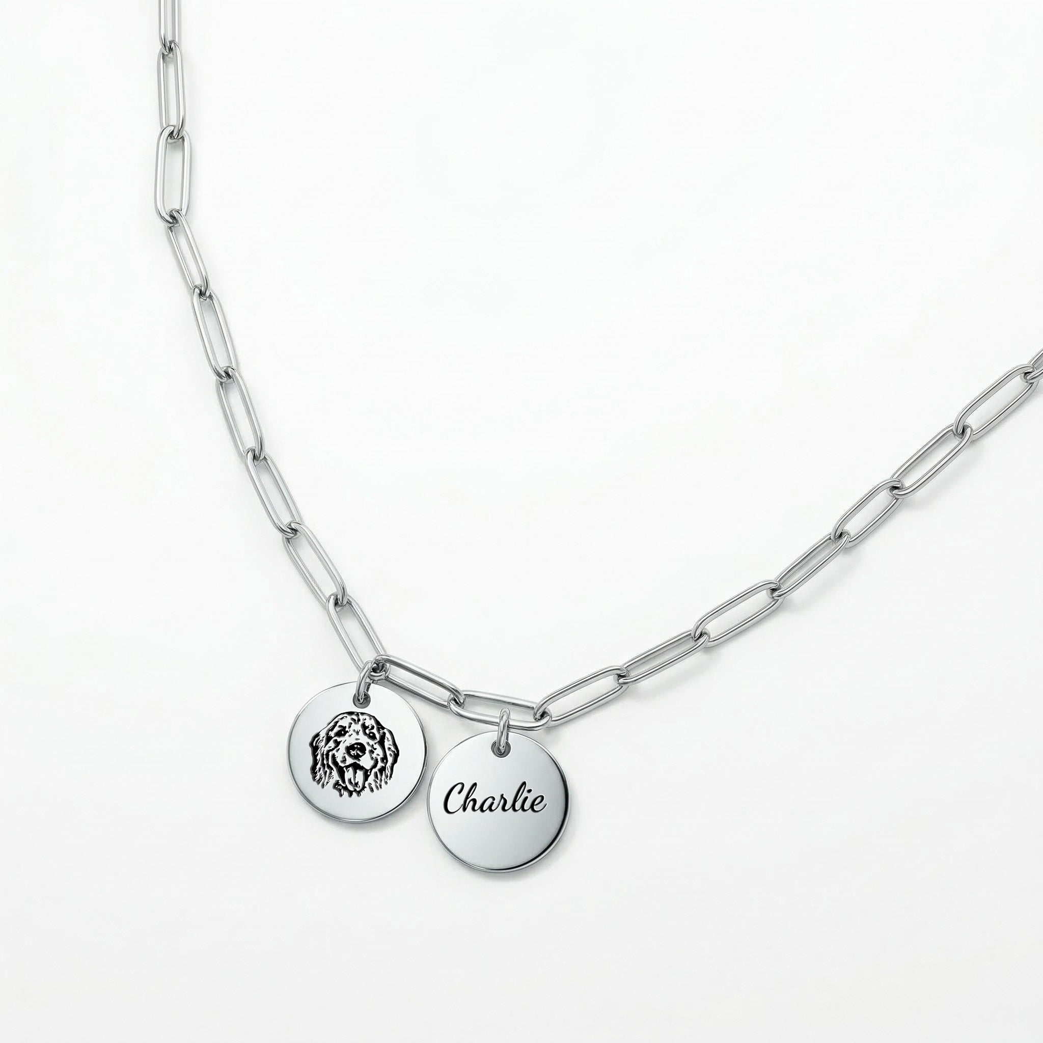 Silver paperclip chain necklace with dual disc pendants featuring pet portrait and name engraving