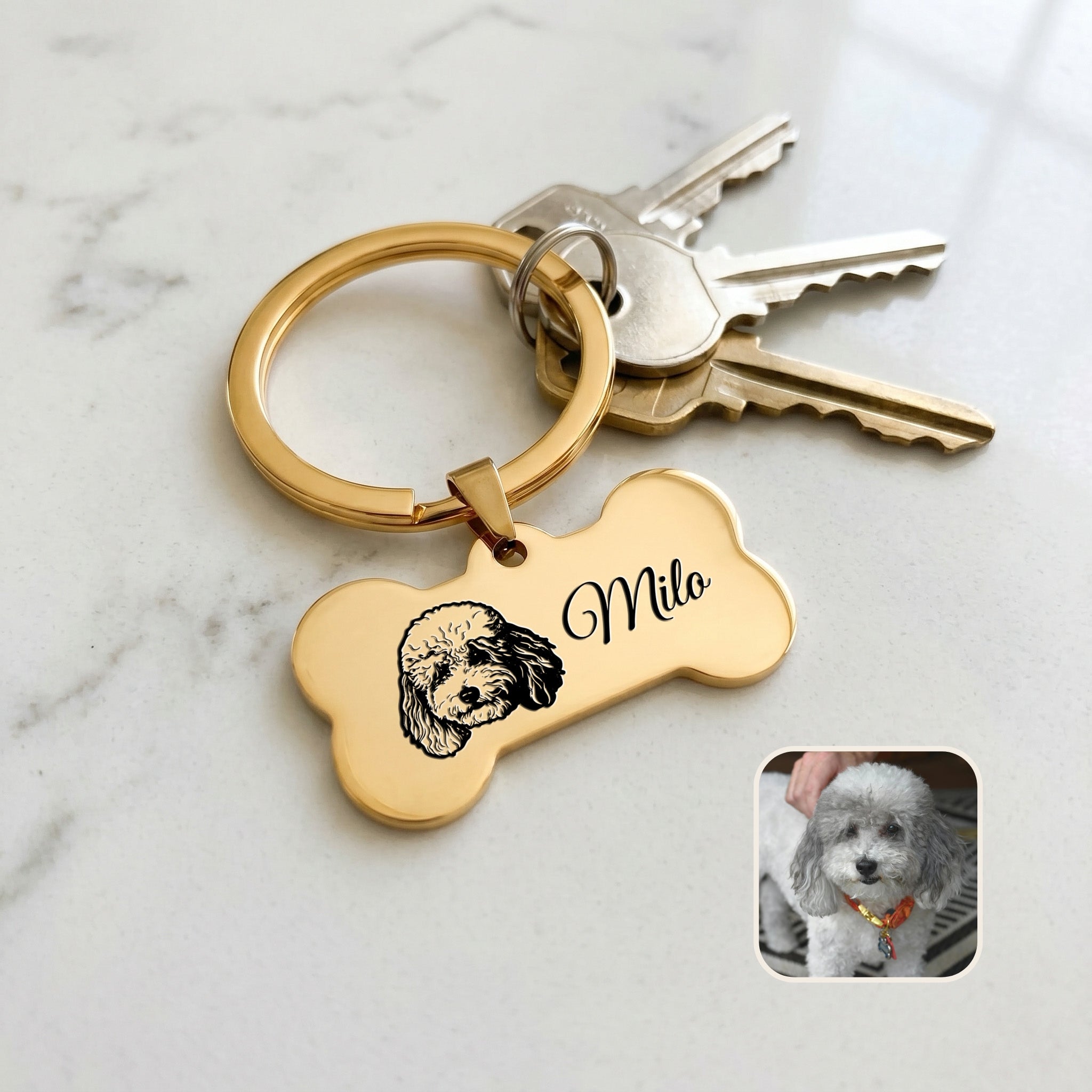 18k yellow gold pet bone keychain staged on a countertop with keys — everyday-carry pocket scene