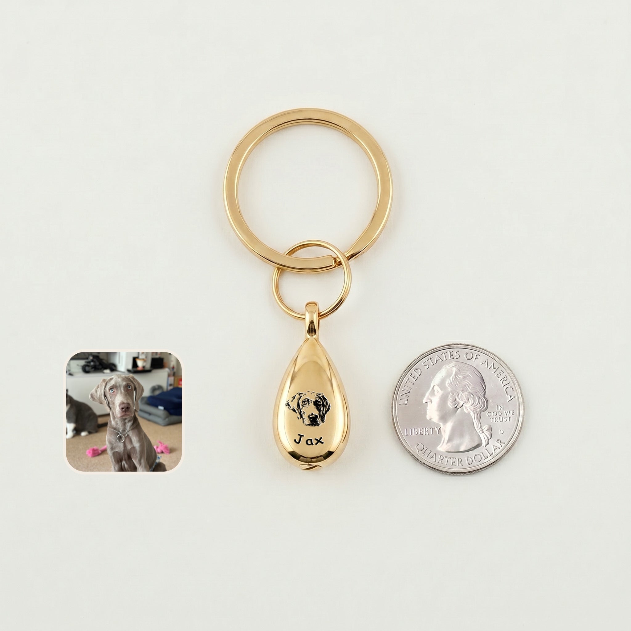 18k gold-plated pet portrait ashes teardrop keychain on a white field beside a US quarter for scale, with a dog reference photo inset